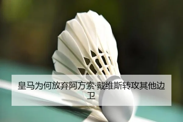 img_1781469437904_1439_1_246.jpg